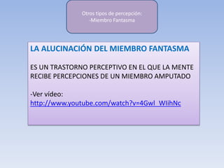 LA ALUCINACIÓN DEL MIEMBRO FANTASMA
ES UN TRASTORNO PERCEPTIVO EN EL QUE LA MENTE
RECIBE PERCEPCIONES DE UN MIEMBRO AMPUTADO
-Ver vídeo:
http://www.youtube.com/watch?v=4Gwl_WIihNc
Otros tipos de percepción:
-Miembro Fantasma
 