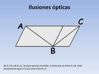 Ilusiones ópticas
de A a B y de B a C. Aunque parezca increíble, la línea que va entre A y B, mide
exactamente igual a la que está entre B y C
 