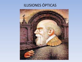 ILUSIONES ÓPTICAS
 