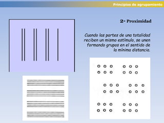 Cuando las partes de una totalidad
reciben un mismo estímulo, se unen
formando grupos en el sentido de
la mínima distancia.
2- Proximidad
Principios de agrupamiento
 