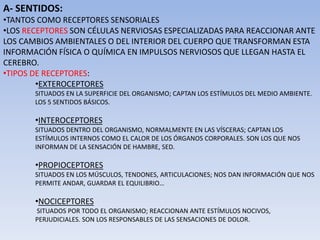 A- SENTIDOS:
•TANTOS COMO RECEPTORES SENSORIALES
•LOS RECEPTORES SON CÉLULAS NERVIOSAS ESPECIALIZADAS PARA REACCIONAR ANTE
LOS CAMBIOS AMBIENTALES O DEL INTERIOR DEL CUERPO QUE TRANSFORMAN ESTA
INFORMACIÓN FÍSICA O QUÍMICA EN IMPULSOS NERVIOSOS QUE LLEGAN HASTA EL
CEREBRO.
•TIPOS DE RECEPTORES:
•EXTEROCEPTORES
SITUADOS EN LA SUPERFICIE DEL ORGANISMO; CAPTAN LOS ESTÍMULOS DEL MEDIO AMBIENTE.
LOS 5 SENTIDOS BÁSICOS.
•INTEROCEPTORES
SITUADOS DENTRO DEL ORGANISMO, NORMALMENTE EN LAS VÍSCERAS; CAPTAN LOS
ESTÍMULOS INTERNOS COMO EL CALOR DE LOS ÓRGANOS CORPORALES. SON LOS QUE NOS
INFORMAN DE LA SENSACIÓN DE HAMBRE, SED.
•PROPIOCEPTORES
SITUADOS EN LOS MÚSCULOS, TENDONES, ARTICULACIONES; NOS DAN INFORMACIÓN QUE NOS
PERMITE ANDAR, GUARDAR EL EQUILIBRIO…
•NOCICEPTORES
SITUADOS POR TODO EL ORGANISMO; REACCIONAN ANTE ESTÍMULOS NOCIVOS,
PERJUDICIALES. SON LOS RESPONSABLES DE LAS SENSACIONES DE DOLOR.
 
