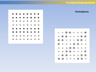 Semejanza
Principios de agrupamiento
 