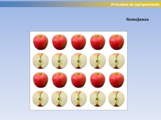 Semejanza
Principios de agrupamiento
 