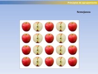 Semejanza
Principios de agrupamiento
 