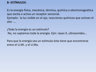 B- ESTÍMULOS:
Es la energía física, mecánica, térmica, química o electromagnética
que excita o activa un receptor sensorial.
Ejemplo: la luz visible en el ojo, reacciones químicas que activan el
olor .…
¿Toda la energía es un estímulo?
No, no captamos toda la energía. Ejm: rayos X, ultrasonidos…
Para que la energía sea un estímulo ésta tiene que encontrarse
entre el U.Mi. y el U.Ma.
 