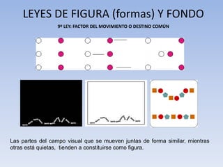 9º LEY: FACTOR DEL MOVIMIENTO O DESTINO COMÚN
LEYES DE FIGURA (formas) Y FONDO
Las partes del campo visual que se mueven juntas de forma similar, mientras
otras está quietas, tienden a constituirse como figura.
 