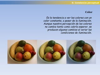 D. Constancia perceptual
Color
Es la tendencia a ver los colores con un
color constante, a pesar de la iluminación.
Aunque nuestra percepción de los colores
no cambia tanto como cabría esperar, se
producen algunos cambios al variar las
condiciones de iluminación.
 