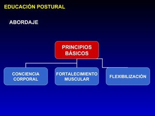 EDUCACIÓN POSTURAL


 ABORDAJE



                 PRINCIPIOS
                  BÁSICOS


  CONCIENCIA   FORTALECIMIENTO
                                 FLEXIBILIZACIÓN
  CORPORAL        MUSCULAR
 