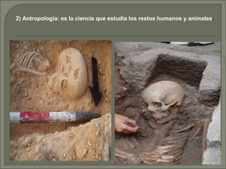2) Antropología: es la ciencia que estudia los restos humanos y animales.

 