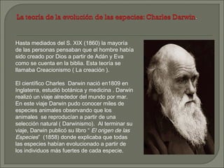 Hasta mediados del S. XIX (1860) la mayoría
de las personas pensaban que el hombre había
sido creado por Dios a partir de Adán y Eva
como se cuenta en la biblia. Esta teoría se
llamaba Creacionismo ( La creación ).
El científico Charles Darwin nació en1809 en
Inglaterra, estudió botánica y medicina . Darwin
realizó un viaje alrededor del mundo por mar.
En este viaje Darwin pudo conocer miles de
especies animales observando que los
animales se reproducían a partir de una
selección natural ( Darwinismo). Al terminar su
viaje, Darwin publicó su libro “ El origen de las
Especies” (1858) donde explicaba que todas
las especies habían evolucionado a partir de
los individuos más fuertes de cada especie.

 