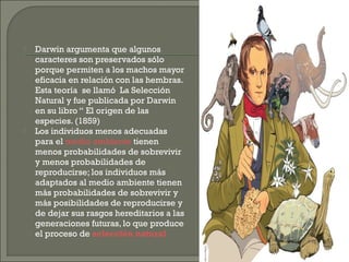 



Darwin argumenta que algunos
caracteres son preservados sólo
porque permiten a los machos mayor
eficacia en relación con las hembras.
Esta teoría se llamó La Selección
Natural y fue publicada por Darwin
en su libro “ El origen de las
especies. (1859)
Los individuos menos adecuadas
para el medio ambiente tienen
menos probabilidades de sobrevivir
y menos probabilidades de
reproducirse; los individuos más
adaptados al medio ambiente tienen
más probabilidades de sobrevivir y
más posibilidades de reproducirse y
de dejar sus rasgos hereditarios a las
generaciones futuras, lo que produce
el proceso de selección natural 

 