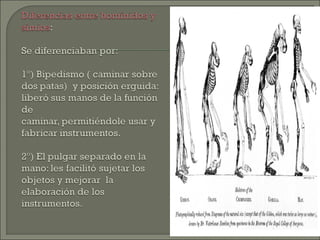 Tema prehistoria2013b
