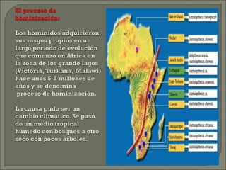 Tema prehistoria2013b