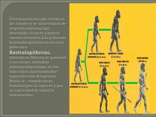 Tema prehistoria2013b