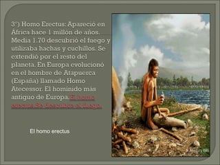 El homo erectus

 