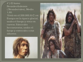 Tema prehistoria2013b