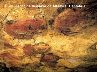 D.29. Techo de la cueva de Altamira. Cantabria.

 