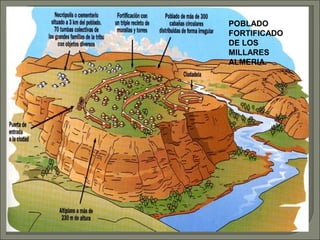 POBLADO
FORTIFICADO
DE LOS
MILLARES
ALMERIA.

 