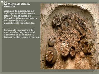 D. 45
 La Momia de Galera.
Granada.


A finales de noviembre de
2002 apareció en la terraza
inferior del poblado de
Castellón Alto una sepultura
con restos humanos
parcialmente momificados.



Se trata de la sepultura 121,
una covacha de planta oval
excavada en el talud de la
terraza dentro de una vivienda.

 