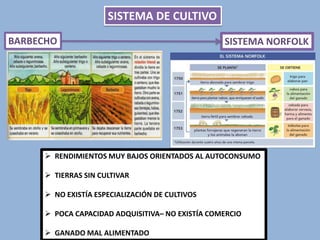 SISTEMA DE CULTIVO
BARBECHO

SISTEMA NORFOLK

 RENDIMIENTOS MUY BAJOS ORIENTADOS AL AUTOCONSUMO
 TIERRAS SIN CULTIVAR

 NO EXISTÍA ESPECIALIZACIÓN DE CULTIVOS
 POCA CAPACIDAD ADQUISITIVA– NO EXISTÍA COMERCIO
 GANADO MAL ALIMENTADO

 