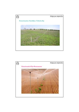 Riego por aspersiRiego por aspersiRiego por aspersiRiego por aspersiRiego por aspersiRiego por aspersiRiego por aspersiRiego por aspersióóóóóóóónnnnnnnn
Estacionarios: Semifijos: Tubería fija
Riego por aspersiRiego por aspersiRiego por aspersiRiego por aspersiRiego por aspersiRiego por aspersiRiego por aspersiRiego por aspersióóóóóóóónnnnnnnn
Estacionario-Fijo-Permanente
 