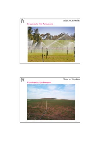 Riego por aspersiRiego por aspersiRiego por aspersiRiego por aspersiRiego por aspersiRiego por aspersiRiego por aspersiRiego por aspersióóóóóóóónnnnnnnn
Estacionario-Fijo-Permanente
Riego por aspersiRiego por aspersiRiego por aspersiRiego por aspersiRiego por aspersiRiego por aspersiRiego por aspersiRiego por aspersióóóóóóóónnnnnnnn
Estacionario-Fijo-Temporal
 