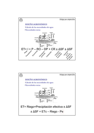 Riego por aspersiRiego por aspersiRiego por aspersiRiego por aspersiRiego por aspersiRiego por aspersiRiego por aspersiRiego por aspersióóóóóóóónnnnnnnn
DISEÑO AGRONÓMICO
Cálculo de las necesidades de agua
•Necesidades netas
ET= I + P – RO – DP + CR ± ∆SF ± ∆SF
R
iego
Precipitación
Escorrentía
Percolación
profunda
Capilaridad
Variación
en
elflujo
horizontal
Variación
en
el
contenido
de
agua
en
elsuelo
Riego por aspersiRiego por aspersiRiego por aspersiRiego por aspersiRiego por aspersiRiego por aspersiRiego por aspersiRiego por aspersióóóóóóóónnnnnnnn
DISEÑO AGRONÓMICO
Cálculo de las necesidades de agua
•Necesidades netas
ET= Riego+Precipitación efectiva ± ∆SF
± ∆SF = ETc – Riego - Pe
 