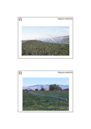 Riego por aspersiRiego por aspersiRiego por aspersiRiego por aspersiRiego por aspersiRiego por aspersiRiego por aspersiRiego por aspersióóóóóóóónnnnnnnn
Riego por aspersiRiego por aspersiRiego por aspersiRiego por aspersiRiego por aspersiRiego por aspersiRiego por aspersiRiego por aspersióóóóóóóónnnnnnnn
 