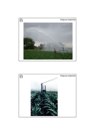 Riego por aspersiRiego por aspersiRiego por aspersiRiego por aspersiRiego por aspersiRiego por aspersiRiego por aspersiRiego por aspersióóóóóóóónnnnnnnn
Riego por aspersiRiego por aspersiRiego por aspersiRiego por aspersiRiego por aspersiRiego por aspersiRiego por aspersiRiego por aspersióóóóóóóónnnnnnnn
 