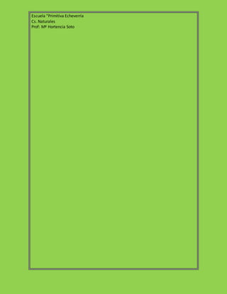 Escuela “Primitiva Echeverría
Cs. Naturales
Prof: Mª Hortencia Soto