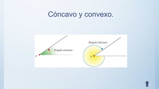 Cóncavo y convexo.
 