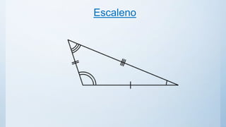 Escaleno
 