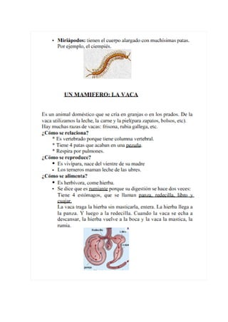 Temario para el medio TIC1
