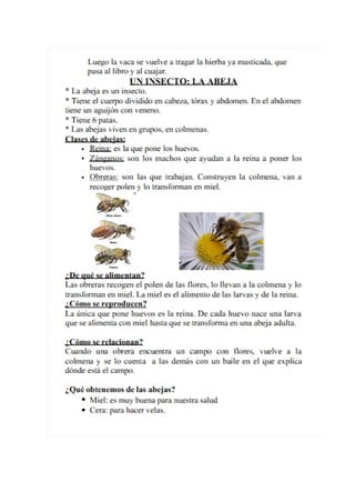 Temario para el medio TIC1