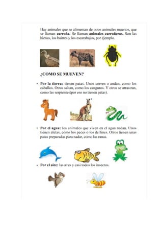 Temario para el medio TIC1