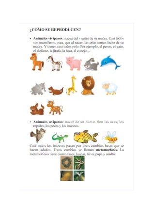 Temario para el medio TIC1