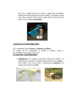 Temario para el medio TIC1