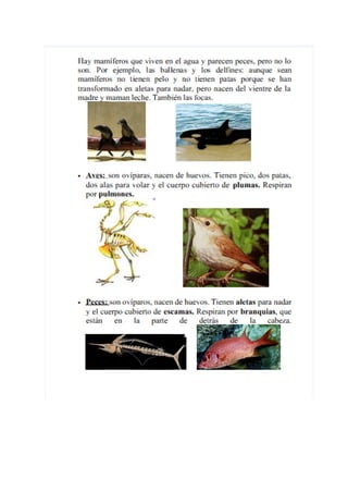 Temario para el medio TIC1