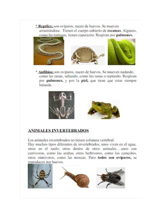 Temario para el medio TIC1