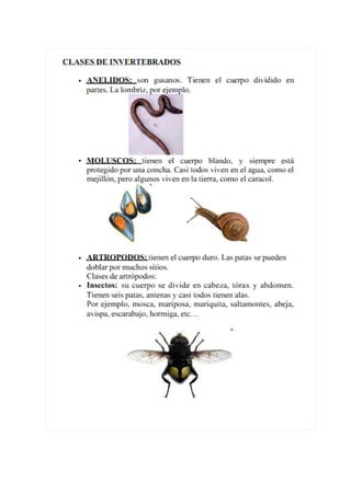 Temario para el medio TIC1