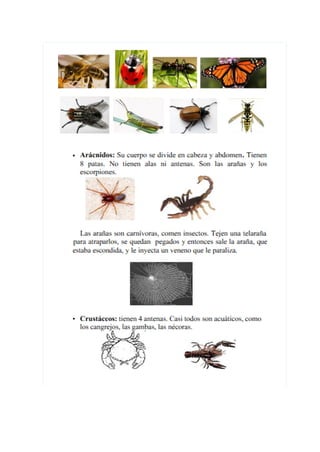 Temario para el medio TIC1