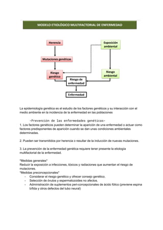 La epidemiología genética es el estudio de los factores genéticos y su interacción con el
medio ambiente en la incidencia de la enfermedad en las poblaciones
-Prevención de las enfermedades genéticas-
1. Los factores genéticos pueden determinar la aparición de una enfermedad o actuar como
factores predisponentes de aparición cuando se dan unas condiciones ambientales
determinadas.
2. Pueden ser transmitidos por herencia o resultar de la inducción de nuevas mutaciones.
3. La prevención de la enfermedad genética requiere tener presente la etiología
multifactorial de la enfermedad.
*Medidas generales*
Reducir la exposición a infecciones, tóxicos y radiaciones que aumentan el riesgo de
mutaciones.
*Medidas preconcepcionales*
- Considerar el riesgo genético y ofrecer consejo genético.
- Selección de óvulos y espermatozoides no afectos.
- Administración de suplementos peri-concepcionales de ácido fólico (previene espina
bífida y otros defectos del tubo neural)
 