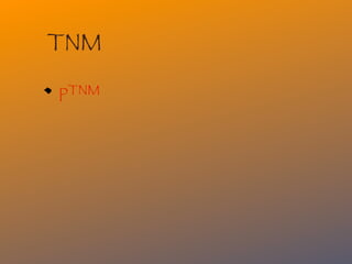 TNM
pTNM
 