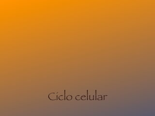 Ciclo celular
 
