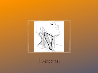 Lateral
 