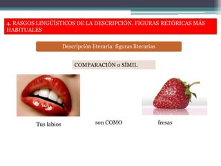 4. RASGOS LINGÜÍSTICOS DE LA DESCRIPCIÓN. FIGURAS RETÓRICAS MÁS
HABITUALES
Descripción literaria: figuras literarias
COMPARACIÓN o SÍMIL
Tus labios son COMO fresas
 