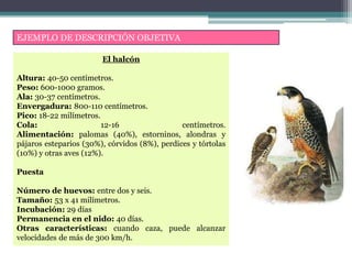 EJEMPLO DE DESCRIPCIÓN OBJETIVA
El halcón
Altura: 40-50 centímetros.
Peso: 600-1000 gramos.
Ala: 30-37 centímetros.
Envergadura: 800-110 centímetros.
Pico: 18-22 milímetros.
Cola: 12-16 centímetros.
Alimentación: palomas (40%), estorninos, alondras y
pájaros esteparios (30%), córvidos (8%), perdices y tórtolas
(10%) y otras aves (12%).
Puesta
Número de huevos: entre dos y seis.
Tamaño: 53 x 41 milímetros.
Incubación: 29 días
Permanencia en el nido: 40 días.
Otras características: cuando caza, puede alcanzar
velocidades de más de 300 km/h.
 