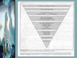 Temas De La Vida Cotidiana. Busca Pareja