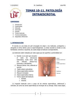 2-3/10/2013

Dr. Castiñeira

Lola FFB

TEMAS 10-11. PATOLOGÍA
INTRAESCROTAL
CONTENIDO
1.
2.
3.
4.
5.
6.
7.
8.

Introducción.
Criptorquidia.
Hidrocele.
Varicocele.
Orquitis.
Torsión testicular.
Tumores testiculares.
Diagnóstico diferencial.

1. INTRODUCCIÓN
El escroto es una bolsa de piel encargada de alojar a los testículos, protegerlos y
otorgarles el clima idóneo para la espermatogénesis. La bolsa escrotal se divide en dos
hemibolsas: derecha e izquierda, las cuales alojan al testículo correspondiente.
Los testículos están rodeados por siete capas que de superficie a profundidad son:
1. Escroto: es la piel que envuelve
al
resto
de
estructuras
testiculares. Suele tener vello
con
folículos
pilosos muy
profundos y abundantes.

2. Músculo Dartos: fino, adherido al
escroto.
3. Tejido celular subcutáneo.
4. Fascia espermática externa.
5. Músculo Cremáster.
6. Fascia espermática interna.
7. Túnica vaginal del testículo:
 Parietal.
 Visceral.
La irrigación testicular corre a cargo de las arterias espermáticas, deferencial y
funicular, así como las venas espermáticas se encargan de su drenaje. Estos vasos bajan,

1

 