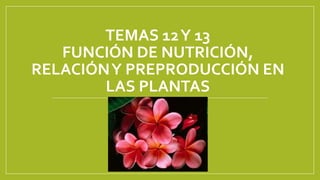 TEMAS 12Y 13
FUNCIÓN DE NUTRICIÓN,
RELACIÓNY PREPRODUCCIÓN EN
LAS PLANTAS
 